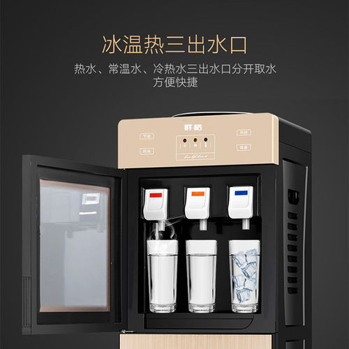 立式制冷制熱飲水機 現代家庭與辦公室的節能茶吧新選擇